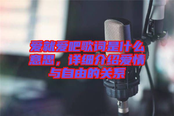 愛就愛吧歌詞是什么意思，詳細(xì)介紹愛情與自由的關(guān)系