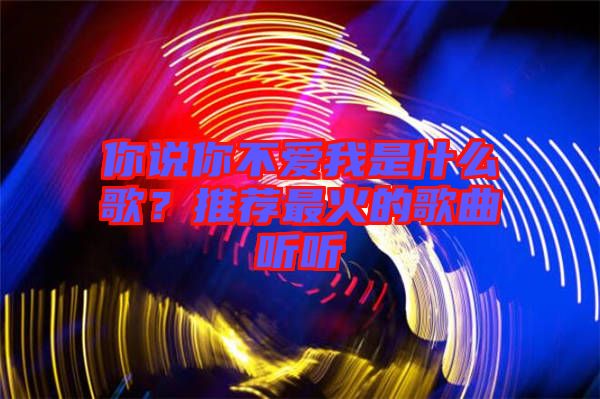 你說你不愛我是什么歌？推薦最火的歌曲聽聽