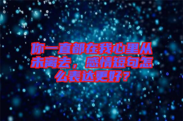 你一直都在我心里從未離去，感情短句怎么表達更好？