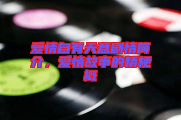 愛情自有天意劇情簡(jiǎn)介，愛情故事的精梗概