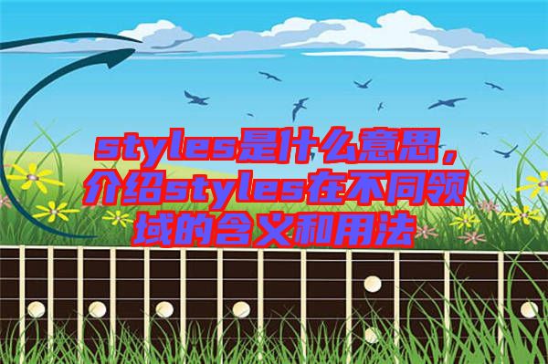 styles是什么意思，介紹styles在不同領(lǐng)域的含義和用法