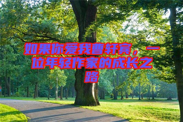 如果你愛(ài)我曹軒賓，一位年輕作家的成長(zhǎng)之路