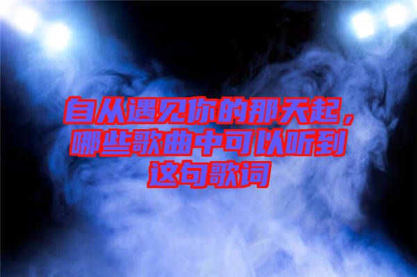 自從遇見你的那天起，哪些歌曲中可以聽到這句歌詞