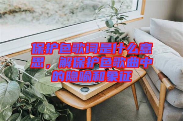 保護色歌詞是什么意思，解保護色歌曲中的隱喻和象征