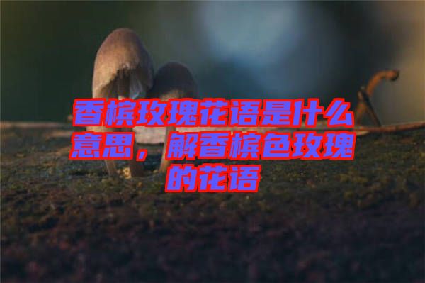 香檳玫瑰花語是什么意思，解香檳色玫瑰的花語